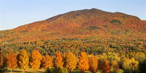 burke fall festival 2023|Burke Fall Festival » Burke Mountain Resort.